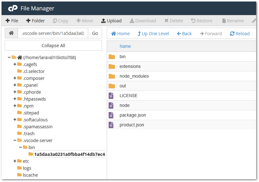 vscode-ssh-lambat-dan-terus-minta-password-wget-dan-opening-remote