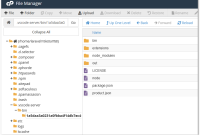 cPanel - VSCode SSH Server